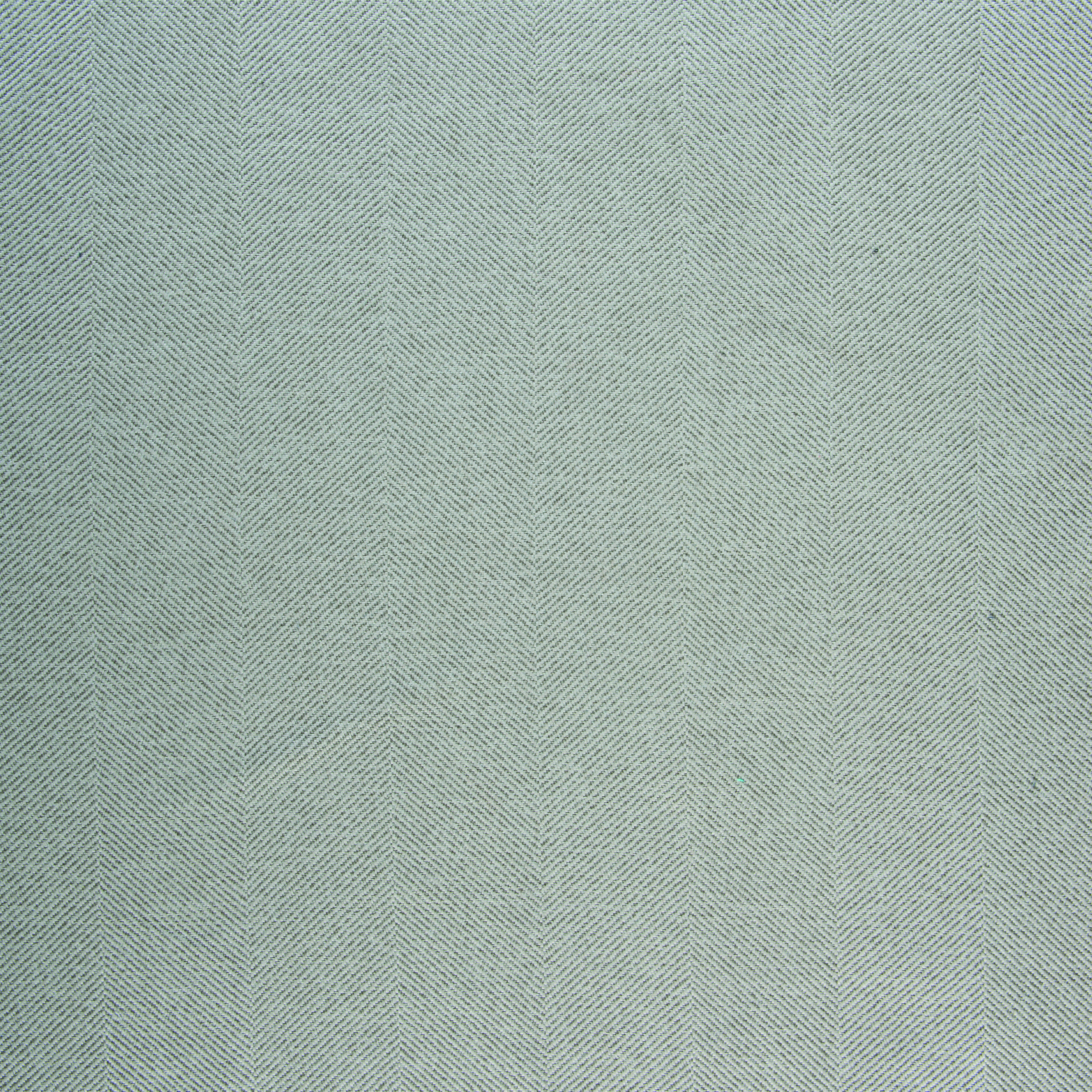 Timothy Zinc (Performance)