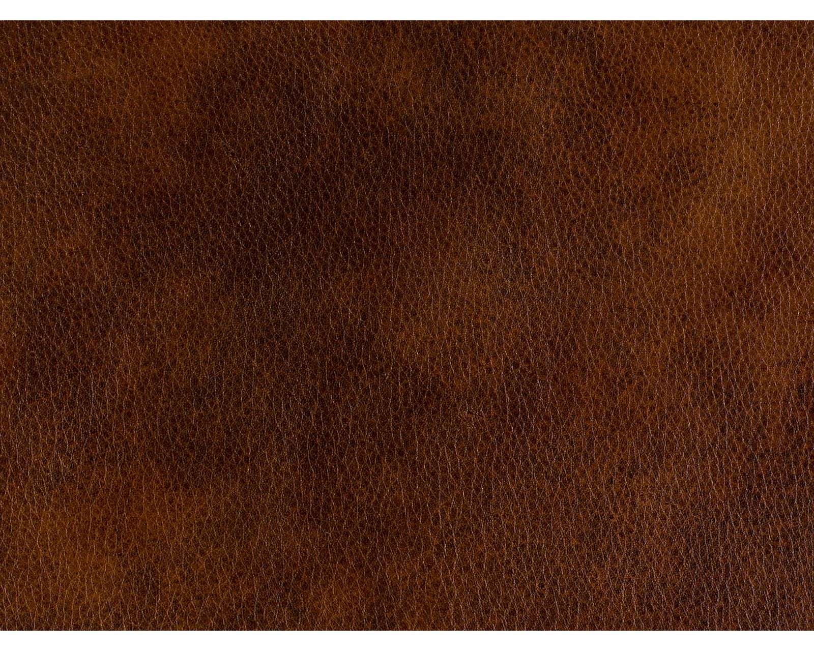 Bradington Young Richardson Stationary Chair 8-Way Tie - Top Grain Leather - In Stock (Brown)