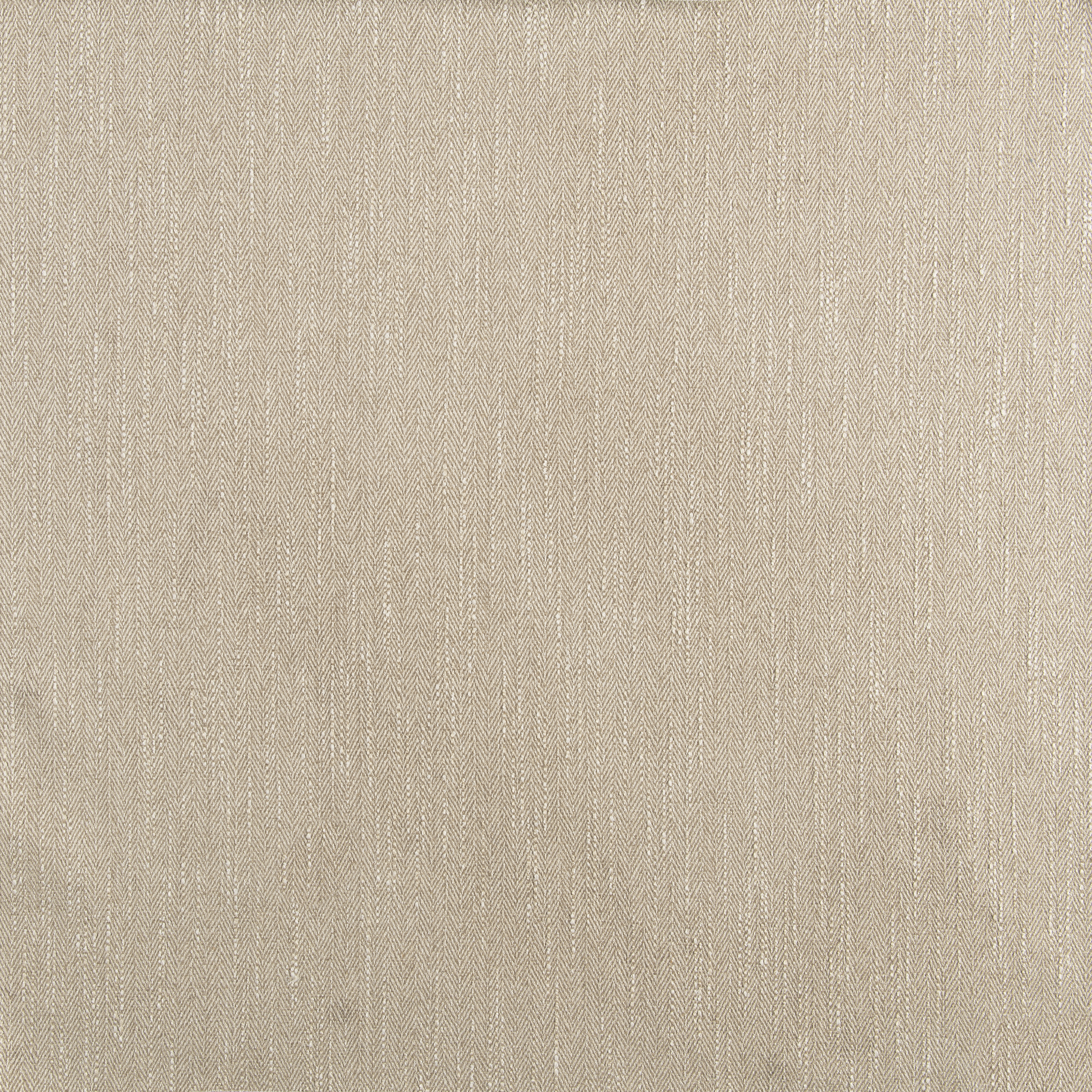 Drew Basil (Standard)