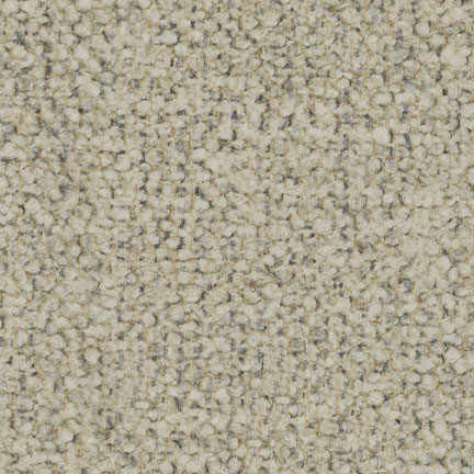 21809 Desert Special