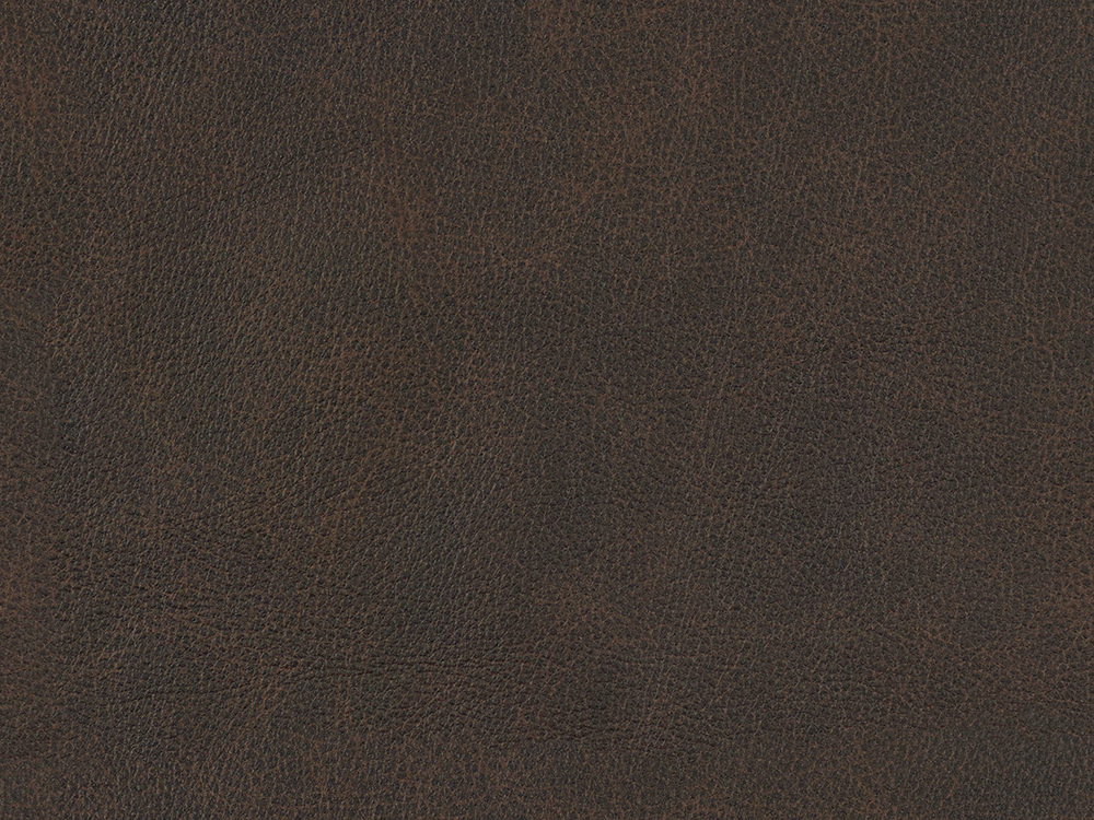 53556L Dark Brown