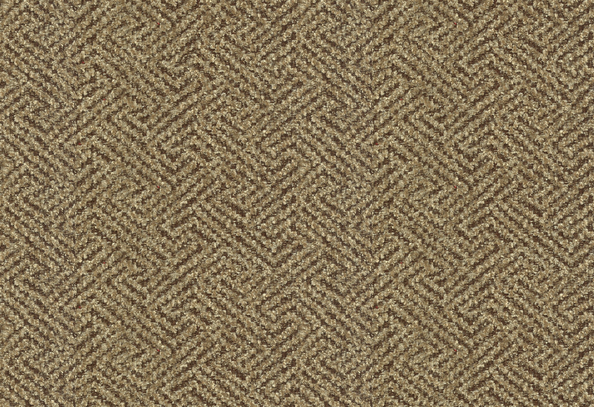 Urban Wheat