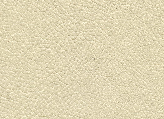6500-08 (Leather Vinyl)