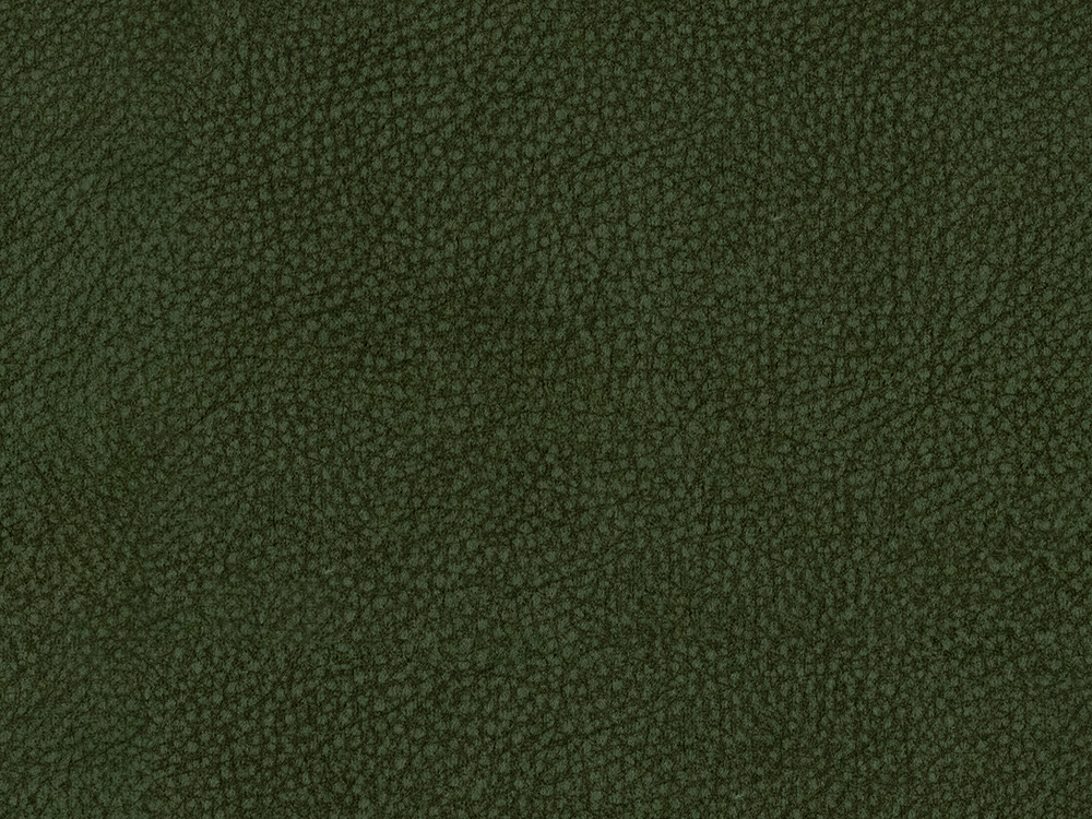 18441 Olive