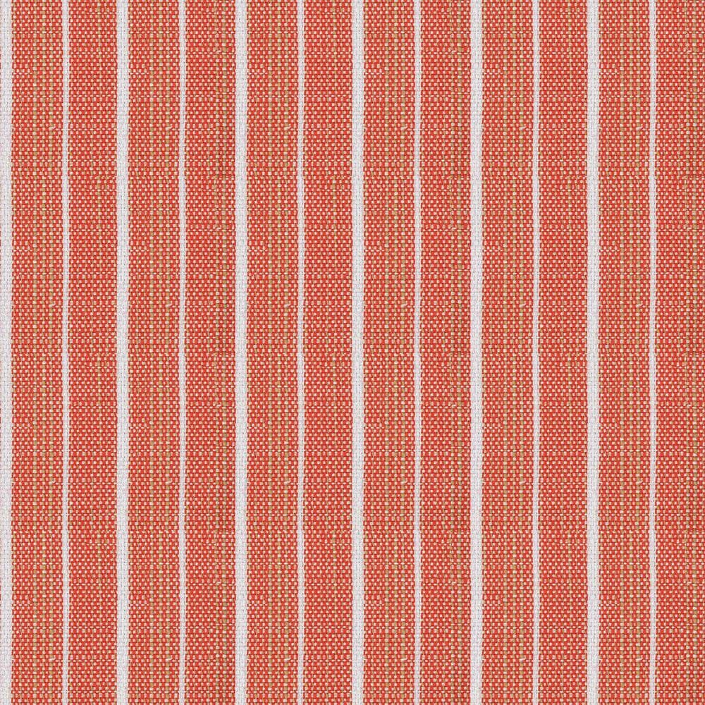 Provence Coral