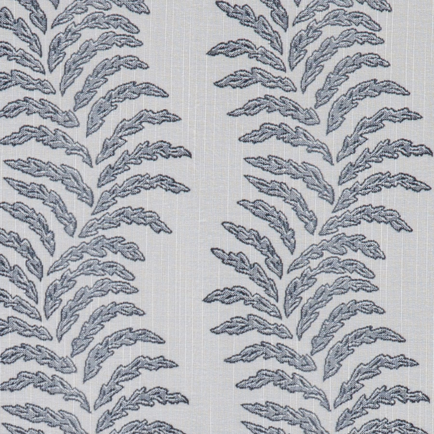 Swoon Denim