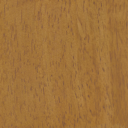 Honey Birch