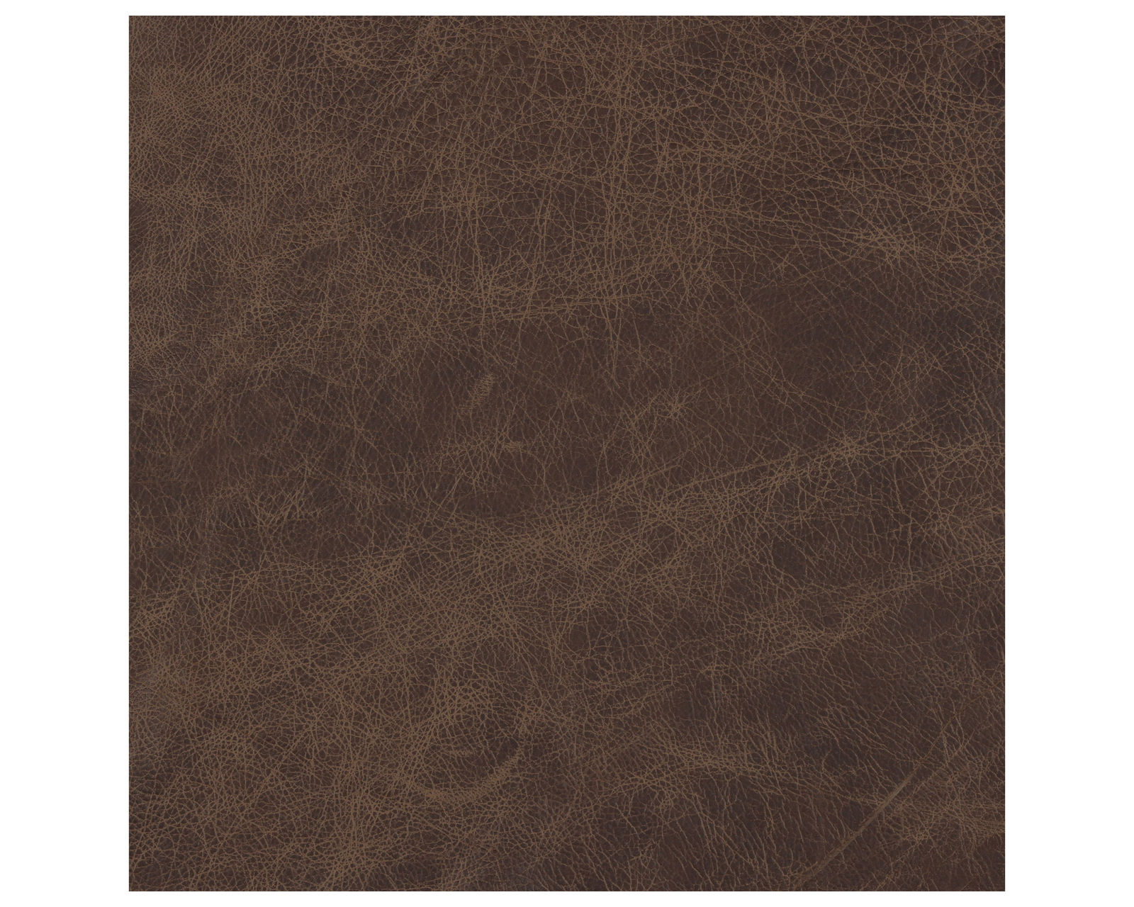 Finley 88" Leather Sofa (+40 leathers) - Image 6