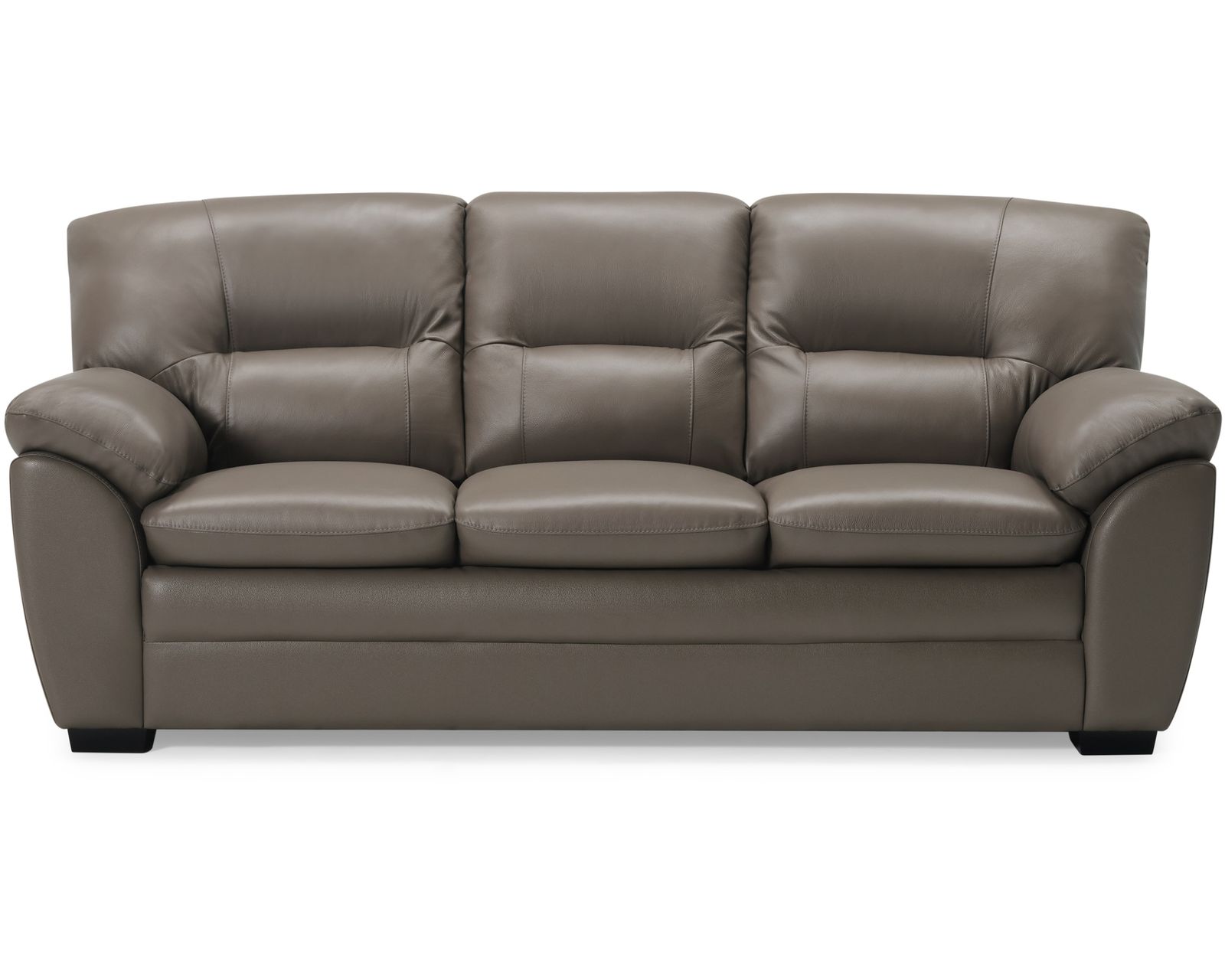 Amisk 77343 Stationary 84" Leather Sofa