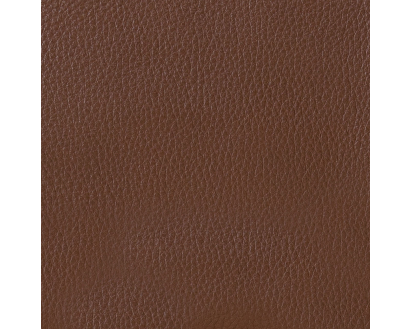 Gia 909 Leather Stationary Sofa (87") Includes Pillows - Image 11