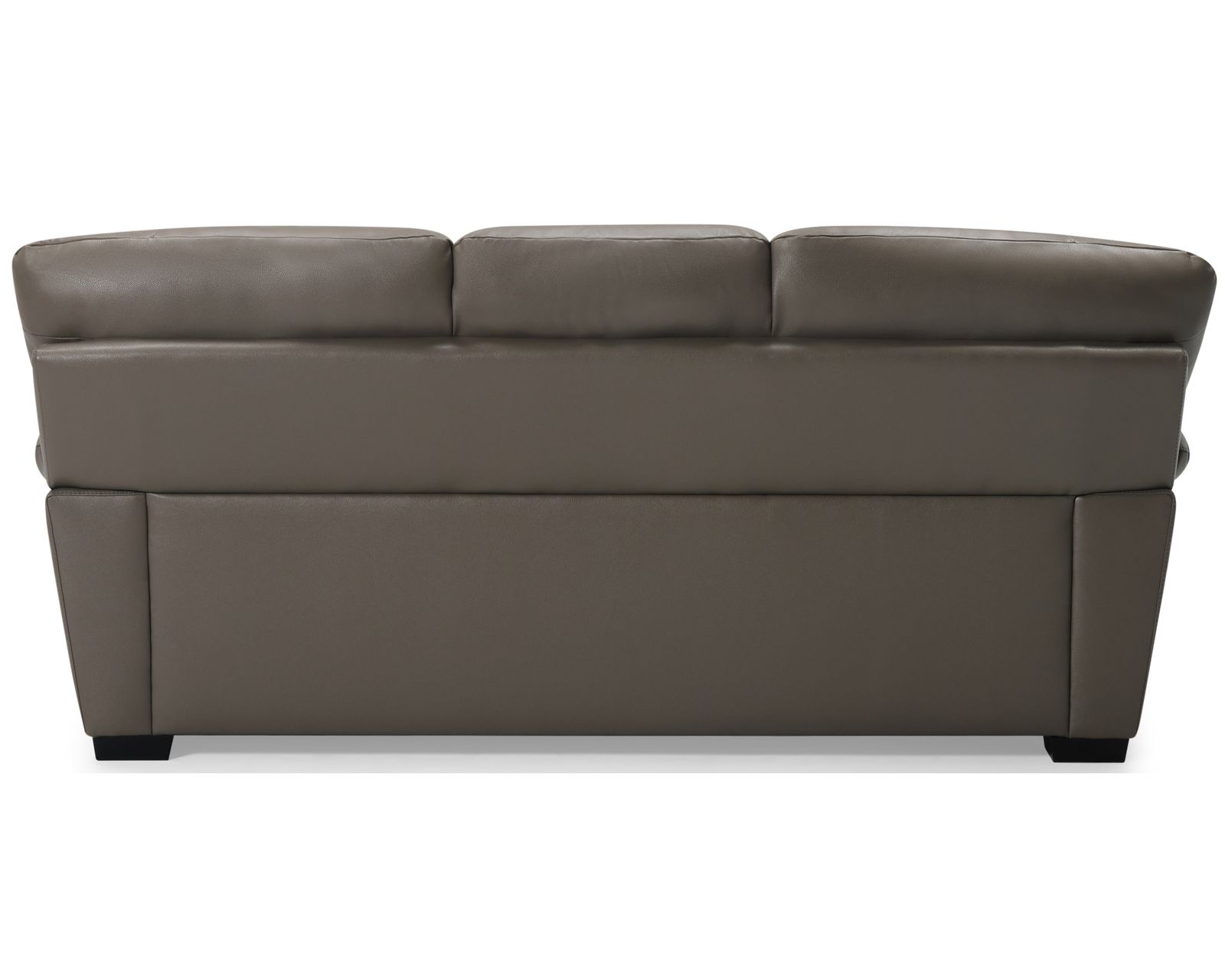 Amisk 77343 Stationary 84" Leather Sofa - Image 5