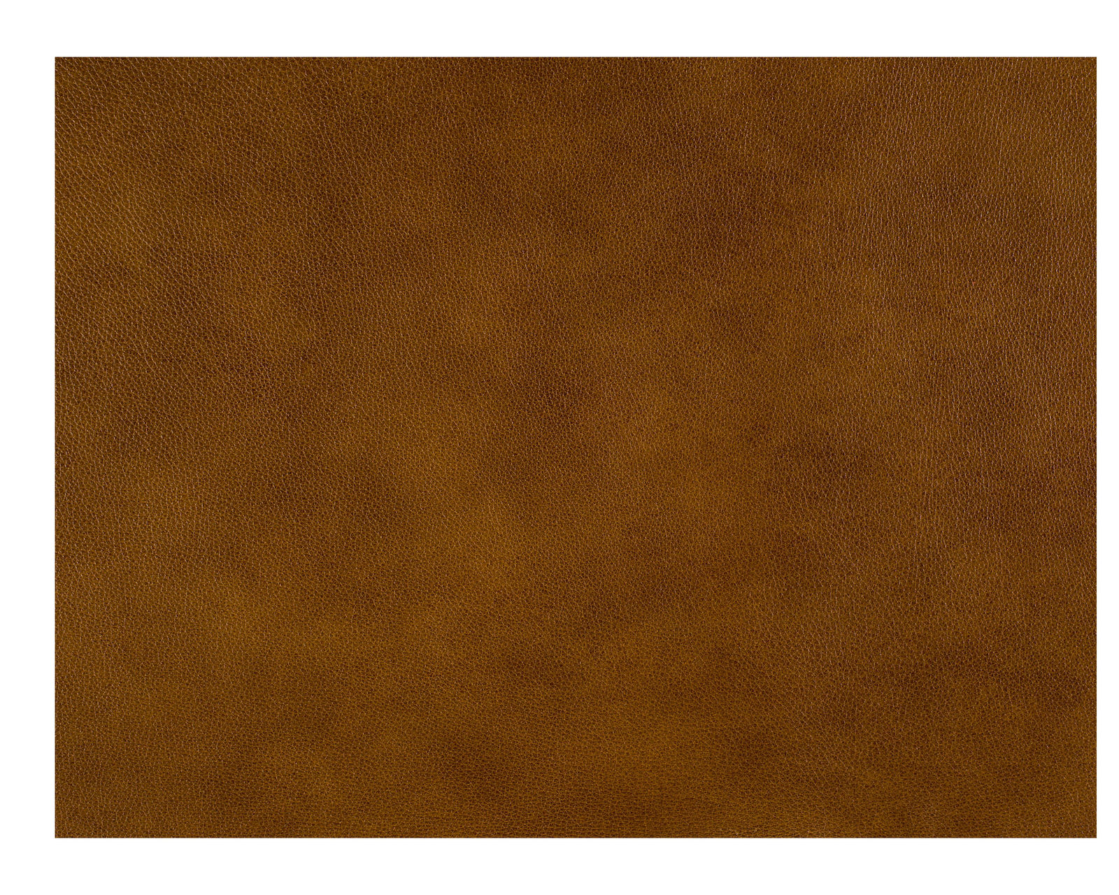 Carrado Stationary Sofa - 8-Way Tie - Top Grain Leather - In Stock - Image 7